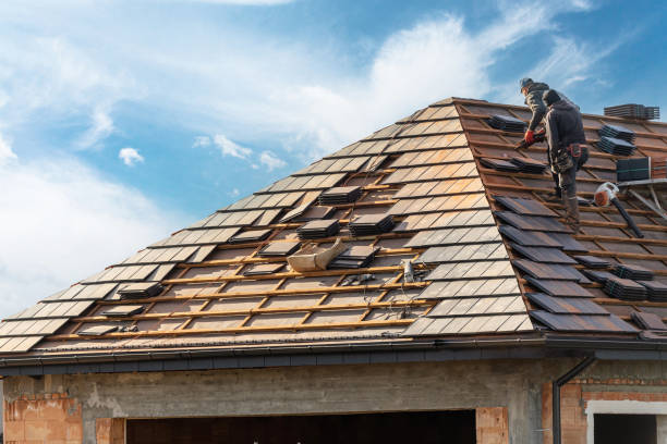 Best Sheet Metal Roofing  in Front Royal, VA